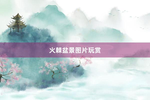 火棘盆景图片玩赏