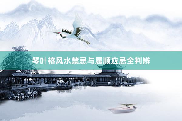 琴叶榕风水禁忌与属顺应忌全判辨