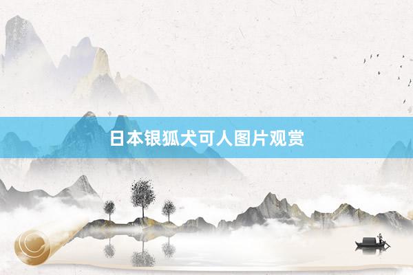 日本银狐犬可人图片观赏