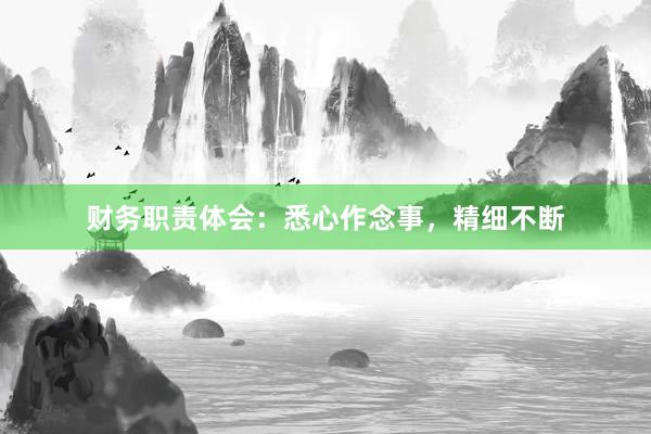 财务职责体会:悉心作念事,精细不断