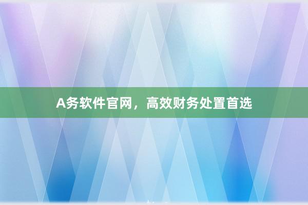 A务软件官网，高效财务处置首选