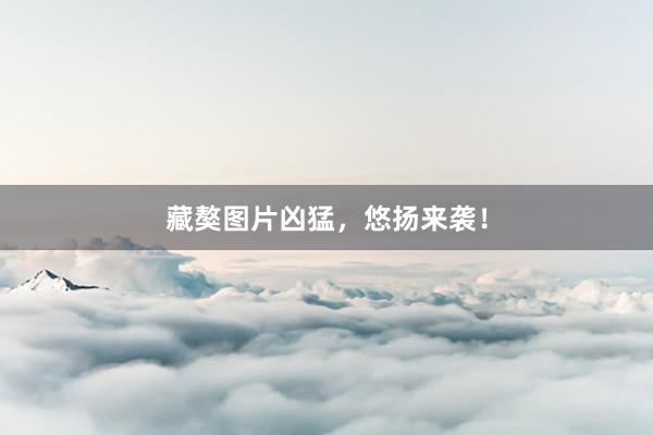 藏獒图片凶猛，悠扬来袭！